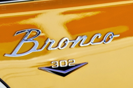 Bronco