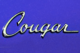 Cougar