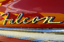 Falcon